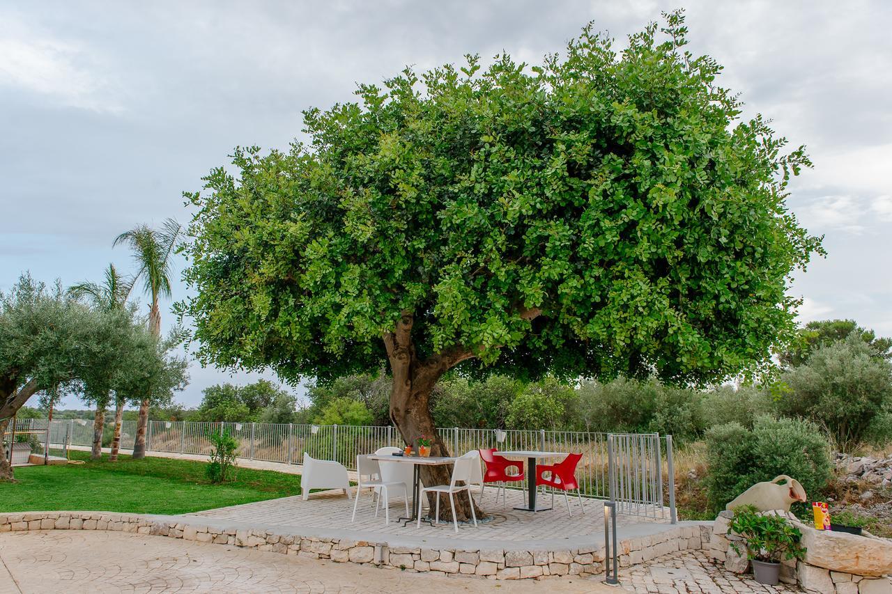 לינה וארוחת בוקר שיקלי Barokhouse מראה חיצוני תמונה
